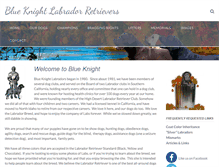 Tablet Screenshot of blueknightlabs.com